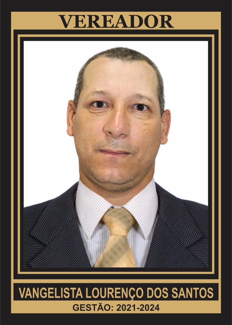 Vice - Presidente