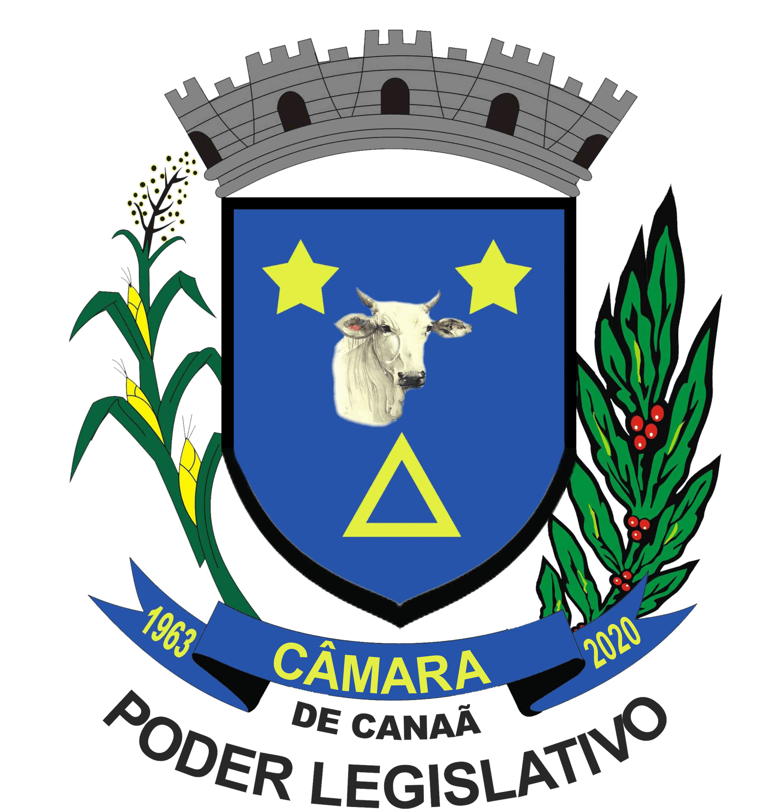 C&acirc;mara Municipal de Cana&atilde;